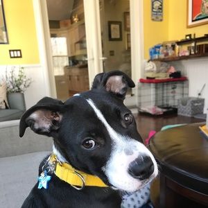 Meet your Posher, Kaylee